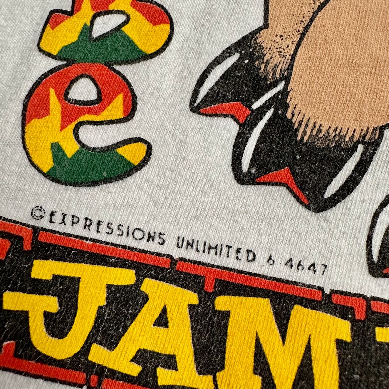 2510 90s シングルステッチ　ブッシュミルズ　ロゴ　半袖　Tシャツ　緑