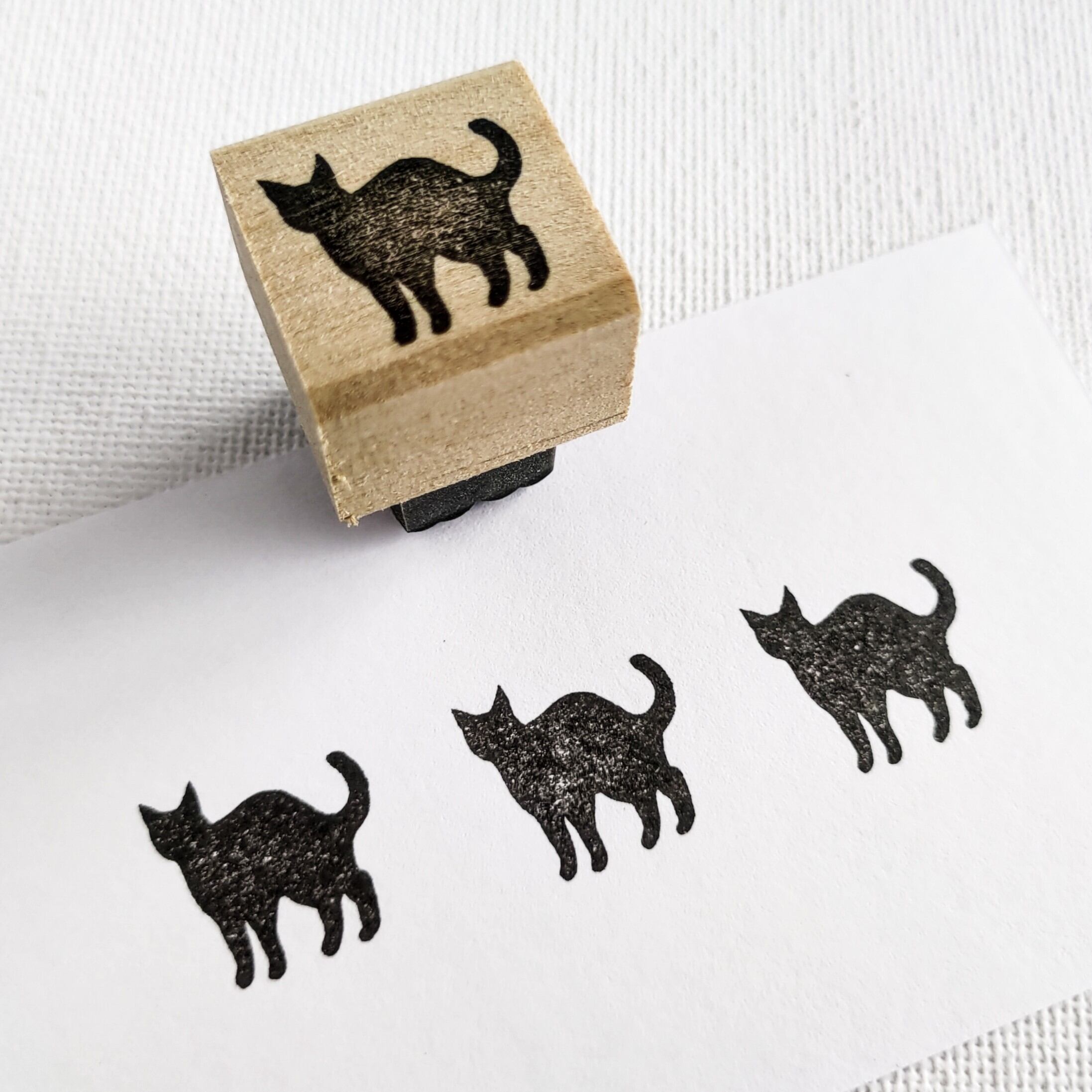 猫 | 黒猫堂 猫 | 黒猫堂