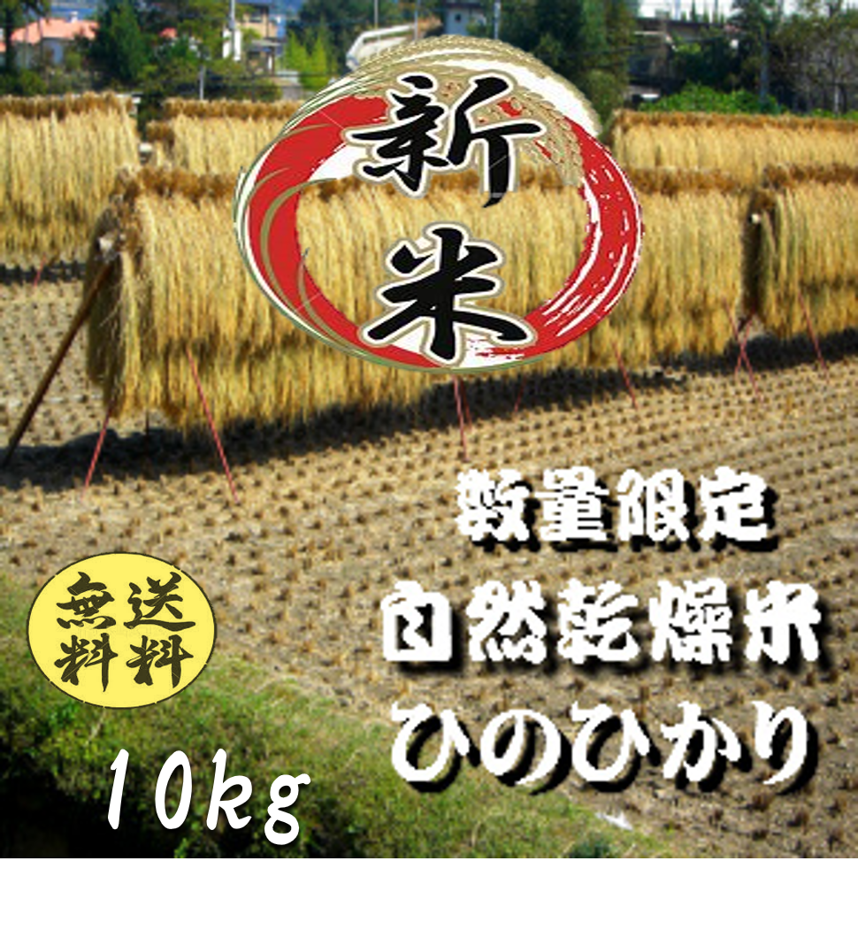 自然乾燥米ひのひかり10ｋ　【送料無料】　お米の内藤精米所　農家直米】令和5年産　広島県産