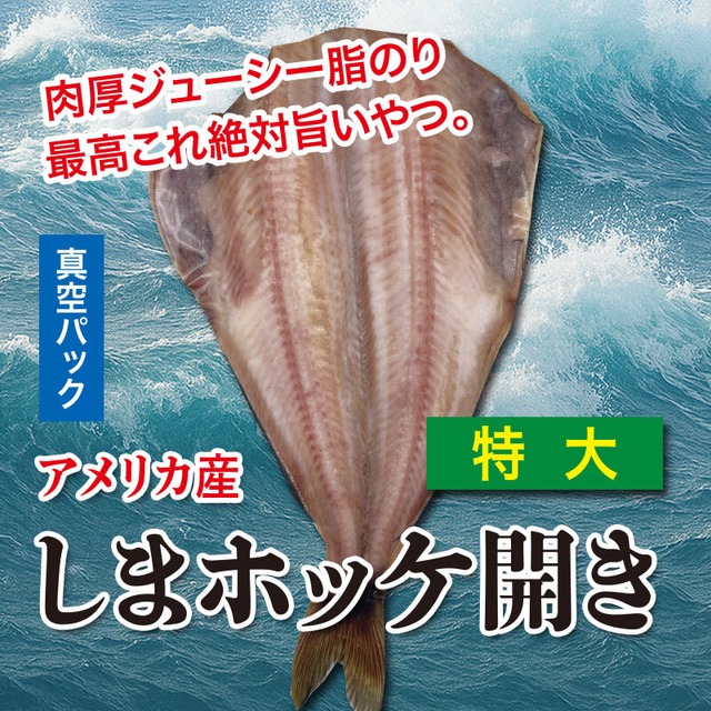 アメリカ産　しまホッケ開き【特大1枚】