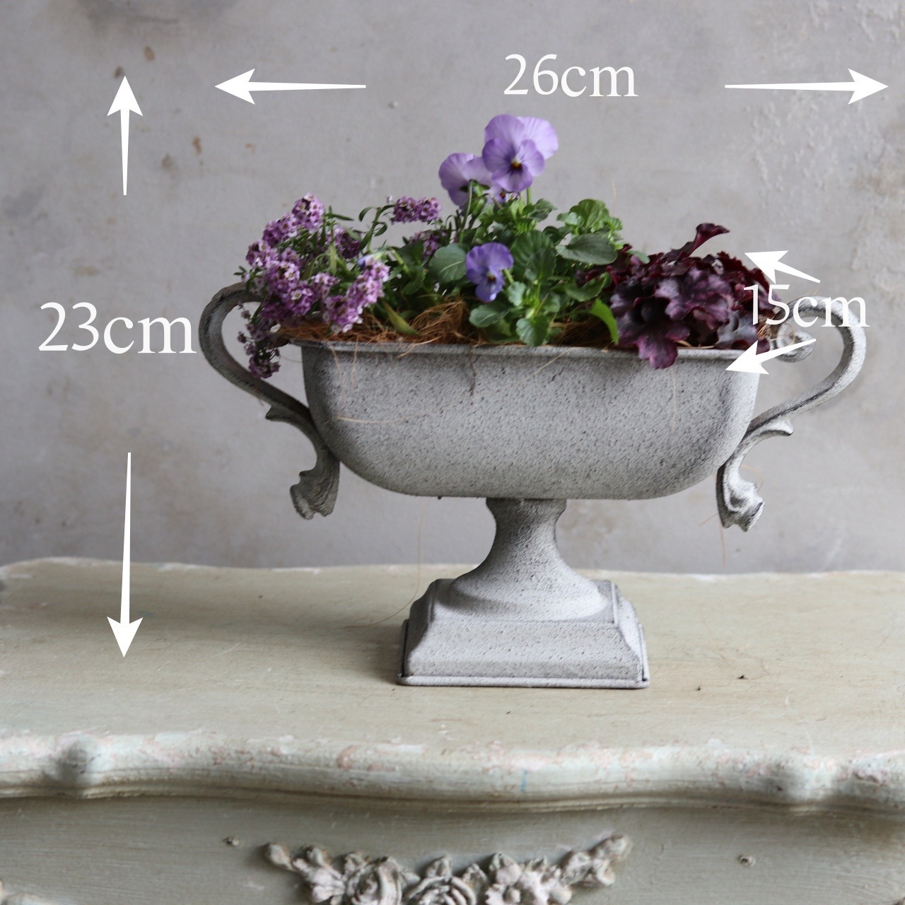 秋冬に楽しむ寄せ植え｜届いてすぐ玄関に飾れる 　ビオラふじいろももかカップ