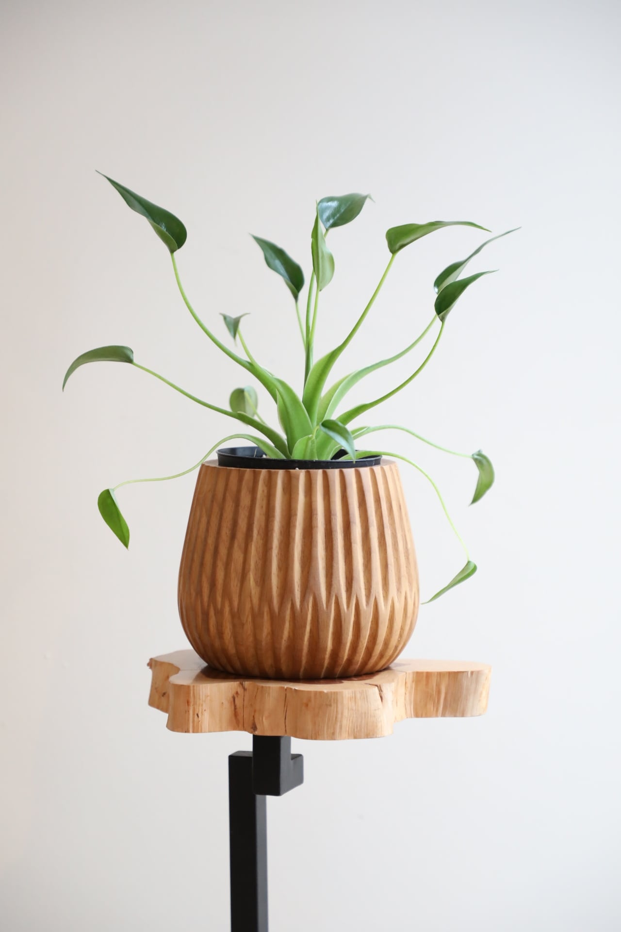 あみんたんページ シャダンダン CM1-083-CA - DOD（ディーオーディー）【公式ブランド