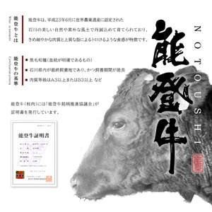 能登牛ほたほたスジ煮（単品）送料別【BASE-57】【冷凍便】