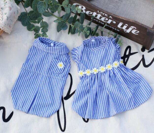 《予約》№2101629 サマーストライプ トップス&ワンピ