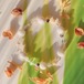 17cm【潔白】4月誕生石・6月誕生石・10月誕生石・11月誕生石・ホワイトオパール・水晶・ホワイトトパーズ・モンタナモスアゲート・天然石・パワーストーン・ヒーリングストーン・ブレスレット・曼荼羅・浄化済み