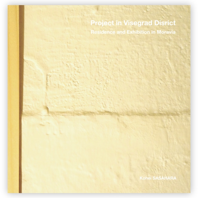 Project in Visegrad District Project Book