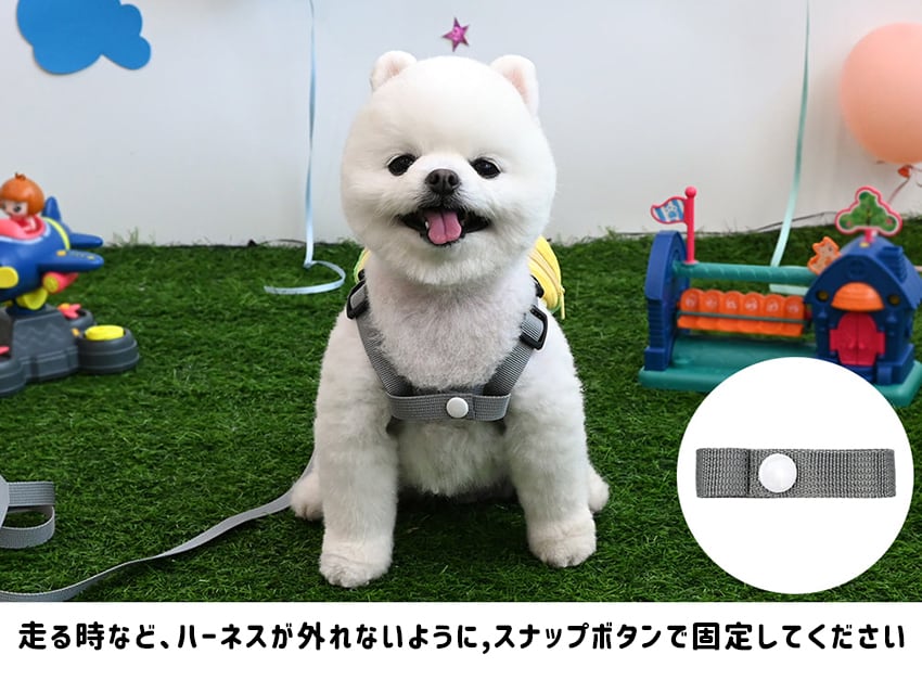 ZOOハーネス&リードセット ver.2  / 犬 犬用 ハーネス 小型犬 中型犬 ドッグウェア ペット用品 胴輪 犬用リュック