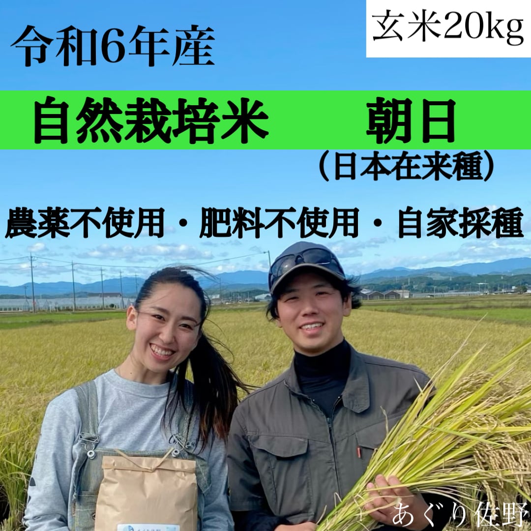 令和6年新米 自然栽培米 自家採種 朝日 玄米20kg 農薬不使用・肥料不  