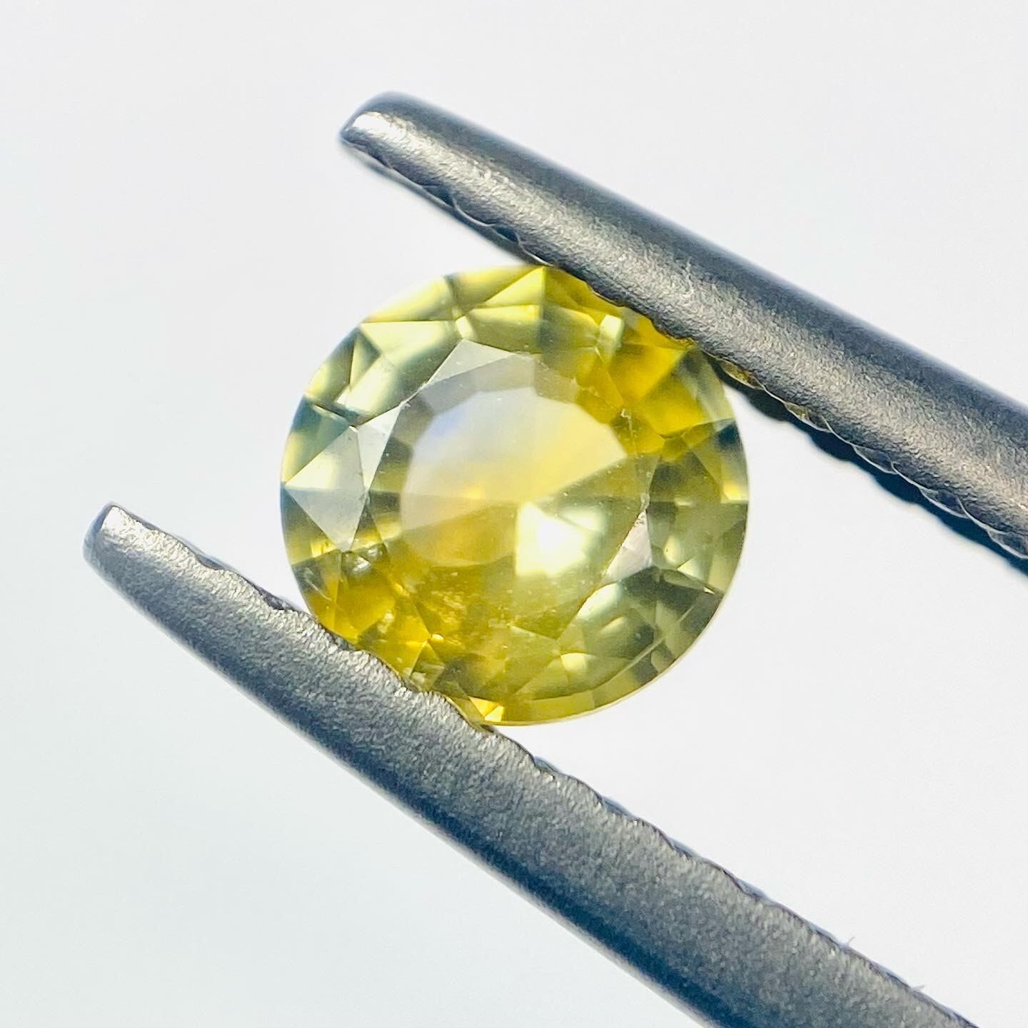 菜の花に青空　サファイア