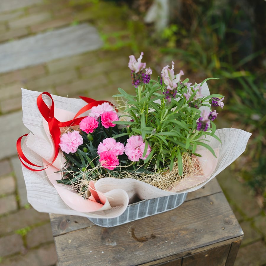 おうち時間優しい雰囲気の寄せ植え♡母の日ギフト