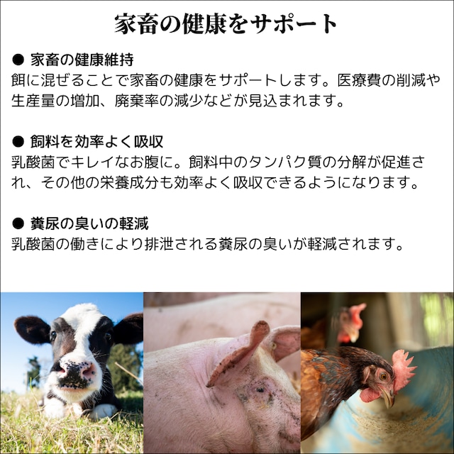 ぼっけぇー牧場 乳酸菌 発酵 家畜用混合飼料（A）A飼料 家畜 牛 豚 鶏