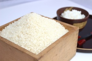【新米】特別栽培米コシヒカリ白米5㎏
