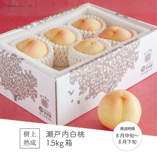 瀬戸内白桃 1.5kg箱（5～6玉）