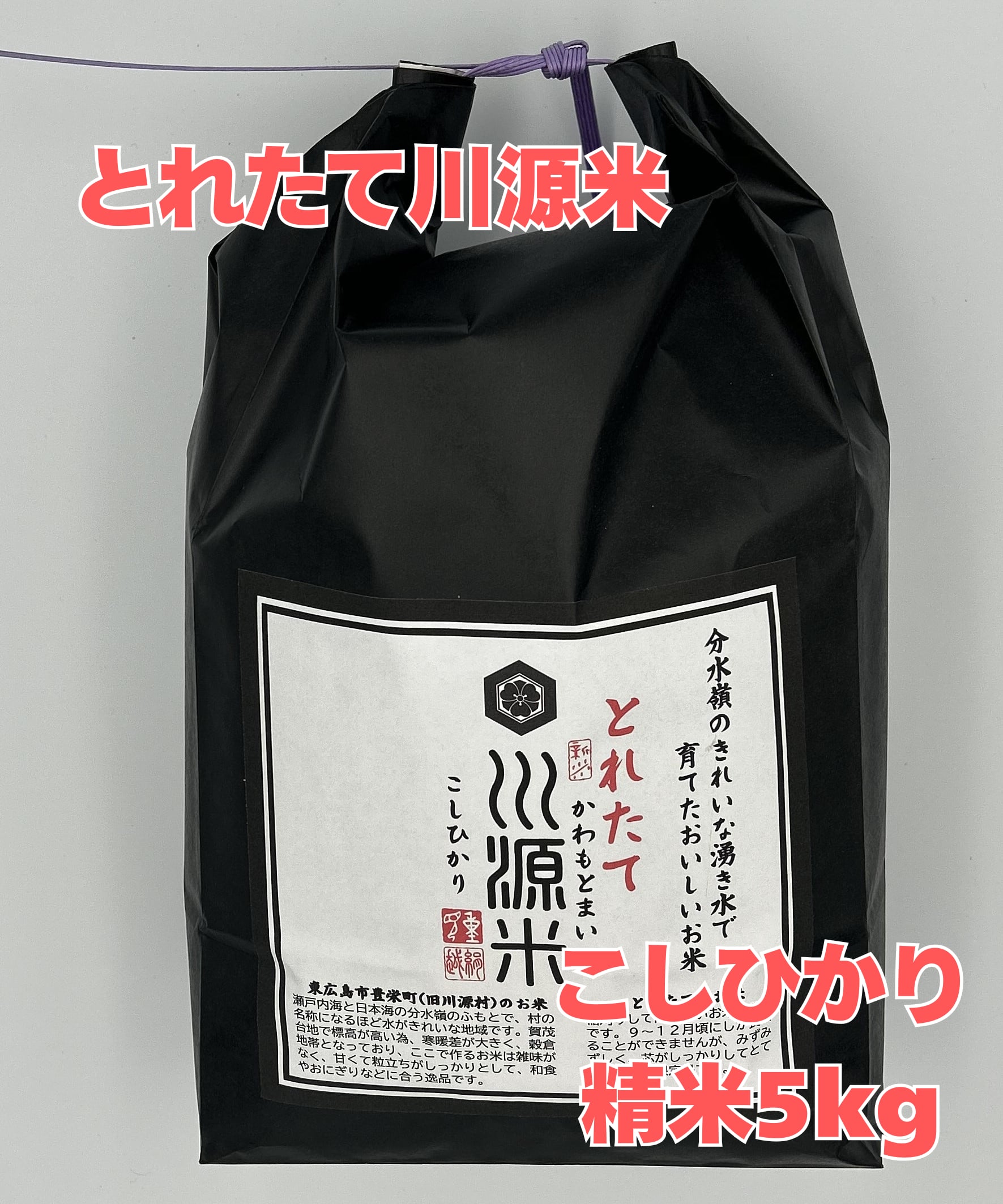 とれたて川源米(こしひかり/精米5kg)