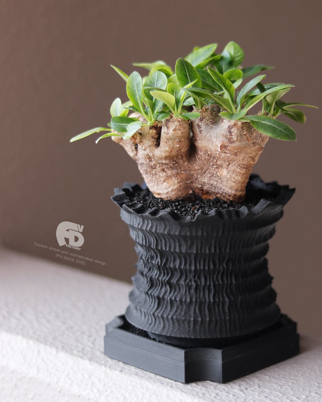 Adv-051-S (110×90)｜Shinogi cr｜彫刻的な造形美を纏う3D植木鉢｜Adv
