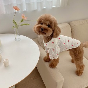 即納販売　Apple blouse 　韓国犬服　［cozyrosyday］