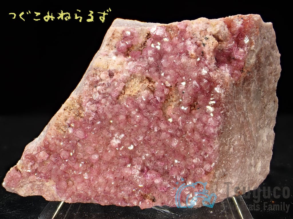 コバルトカルサイト コバルト方解石 Cobalt-bearing Calcite コンゴ TM-0021