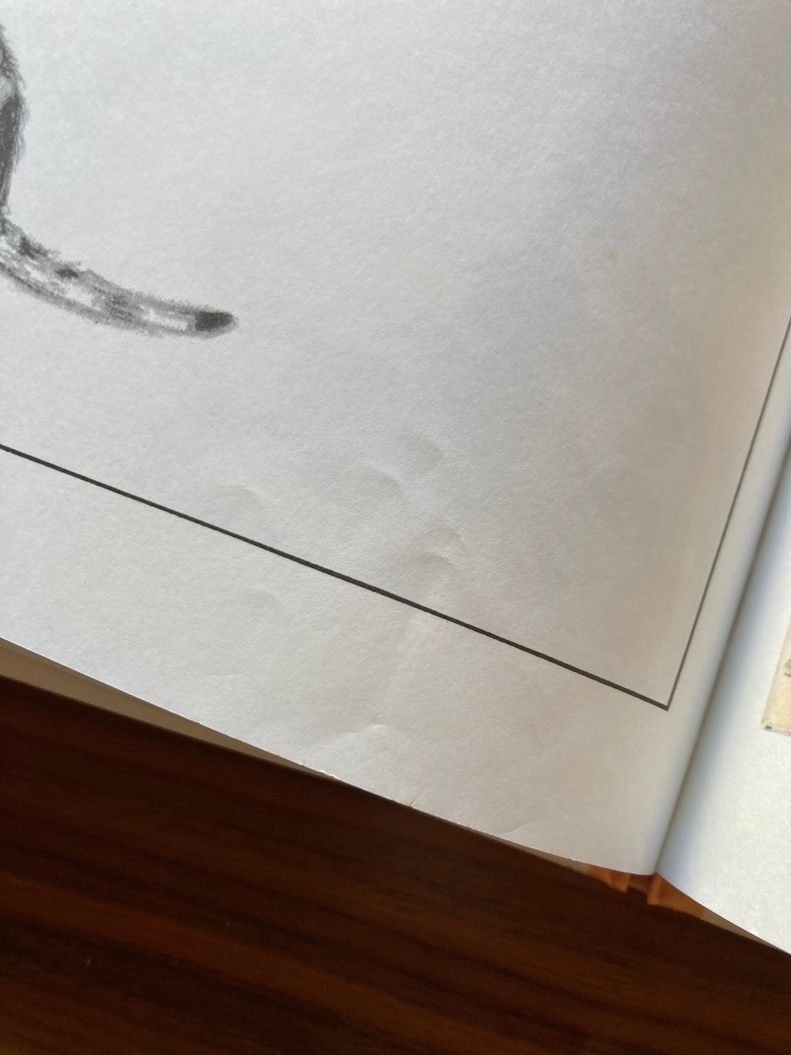 ペッテルとロッタのぼうけん(世界傑作絵本シリーズ)