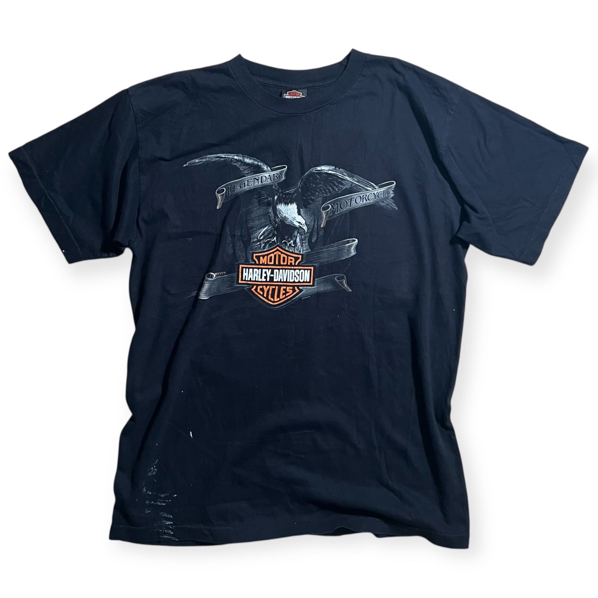 超激レア デッドストック タグ付き 90s アインシュタイン Tシャツ USA