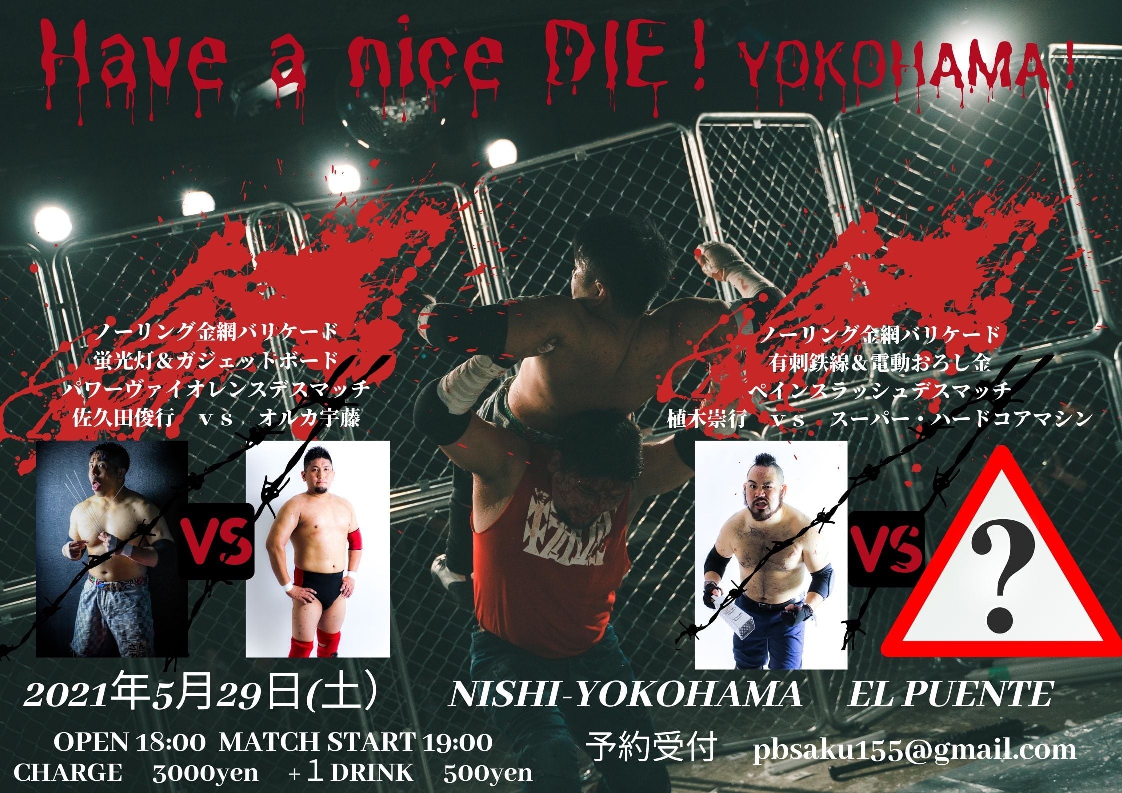 D.I.E プロレスリング