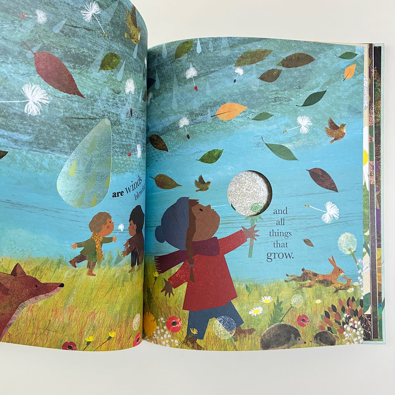 We Are All One | 素敵な洋書絵本のお店 Read Leaf Books