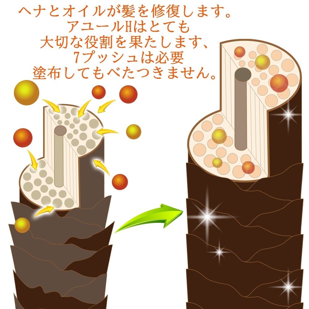 3種類のオイルから選べる 始めてのへナ お買い得セット | naosho