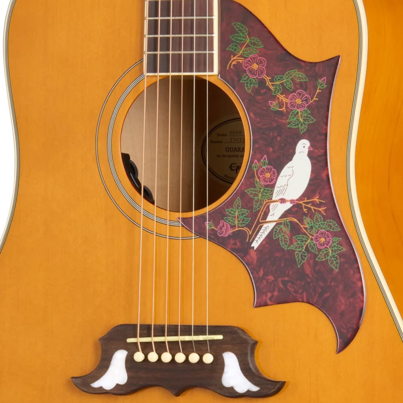 Epiphone Inspired by Gibson Dove Studio (Natural) [Fishman プリアンプ搭載エレアコ仕様]