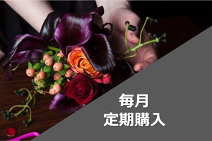【定期購入 / 月】【夜のセレクト・フラワーアレンジメント】季節の生花アレンジメント・簡易容器入り