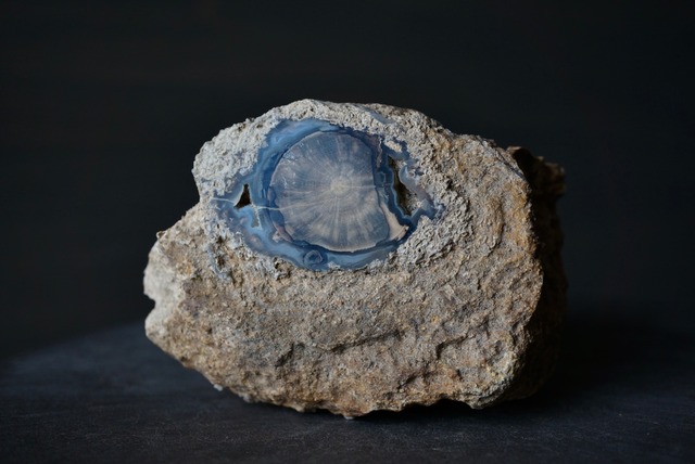 ワイオミング州産珪化木 Araucarioxylon 791