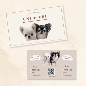 うちの子名刺 〜うにちゃんえびちゃんコラボデザイン