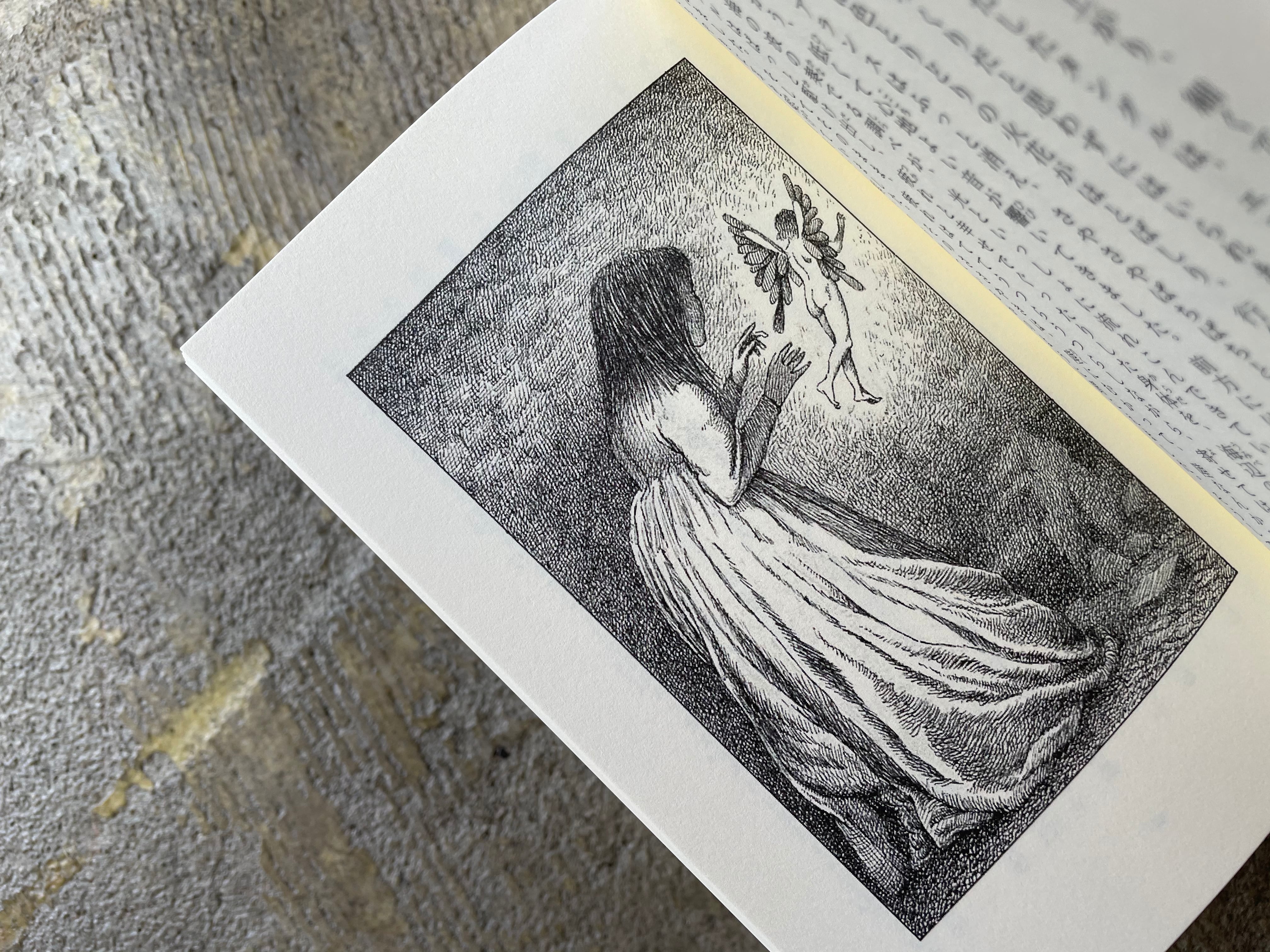 金の鍵 | STANDARD BOOKSTORE