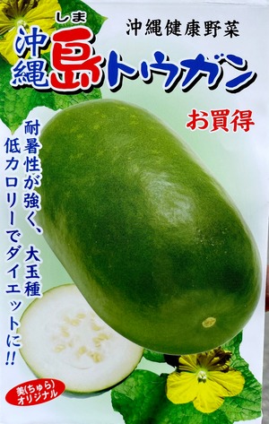 沖縄島野菜種子3ml約25粒「沖縄島とうがん」＊送料込み
