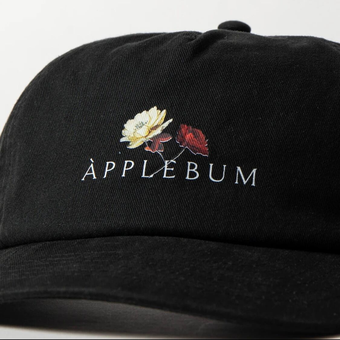 applebum 別注 コラボ nas 刺繍キャップ 廃盤品 アップルバム 希少 applebum 別注 コラボ nas 刺繍キャップ 廃盤品 アップルバム