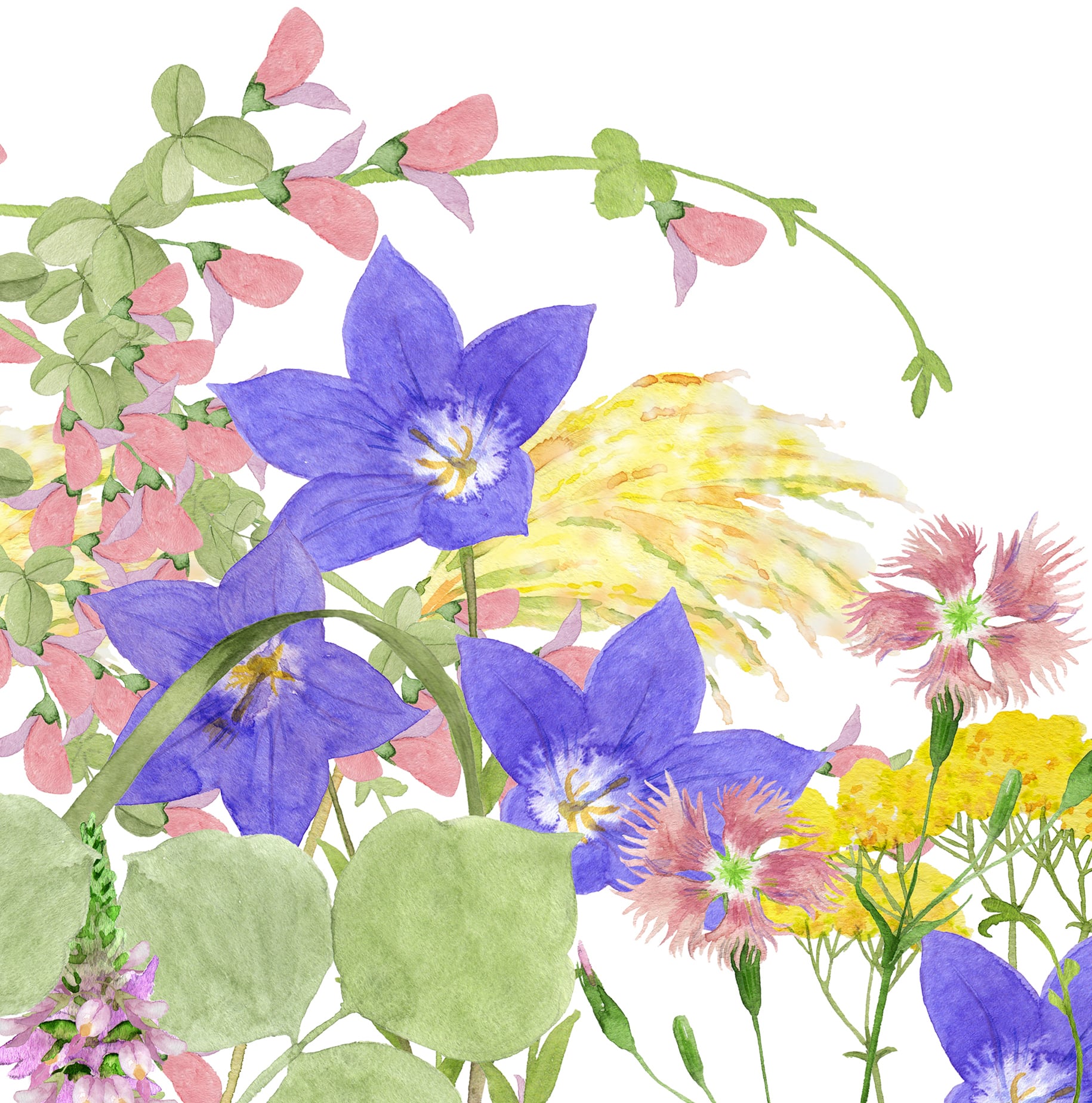 花空さま専用（原画）初秋の足音 #2【A5サイズ／水彩画／#2604】 花空