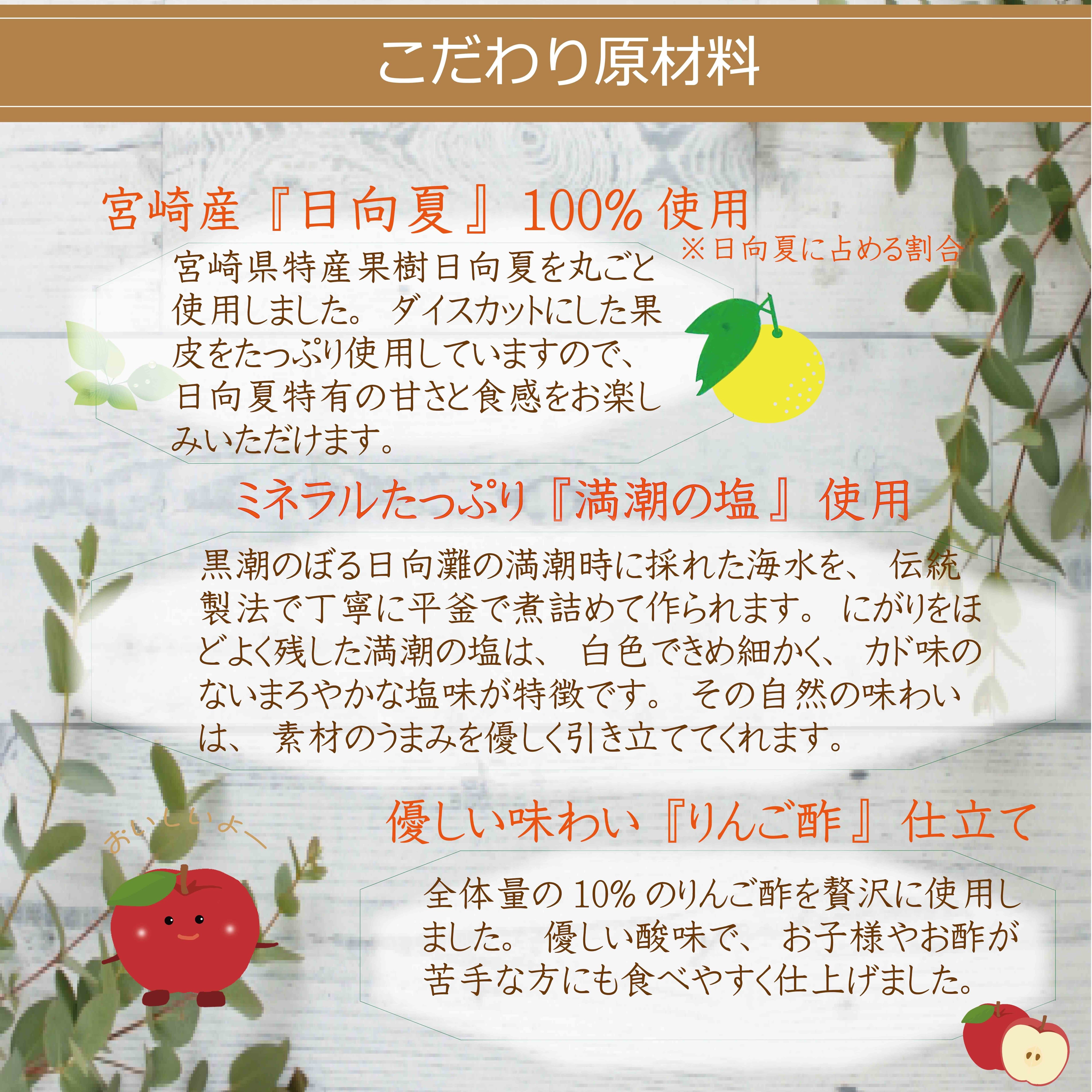 B210】【贈答＆自宅用】NEW 日向夏＆ゆずドレッシング5本セット