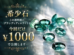 グランディディエライト¥1000特別企画 ［No.K-687］