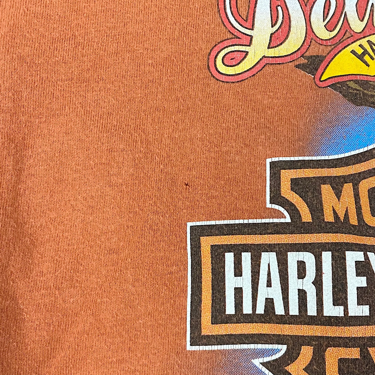 00年代 USA製 Harley-Davidson ハーレーダビッドソン イーグル 