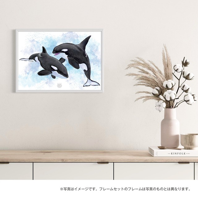 【海のいきものアートポスター／海洋哺乳類】シャチ