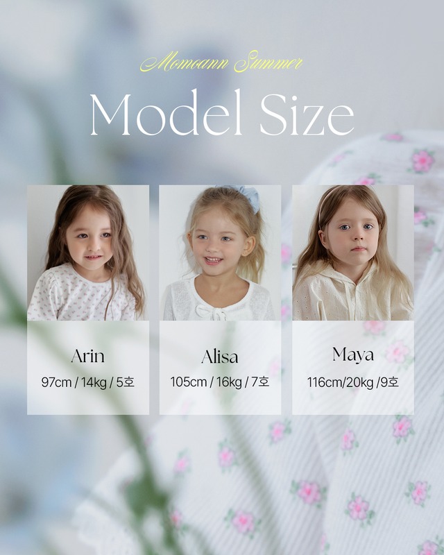 【予約/送料無料】momoann / Maybe blouse