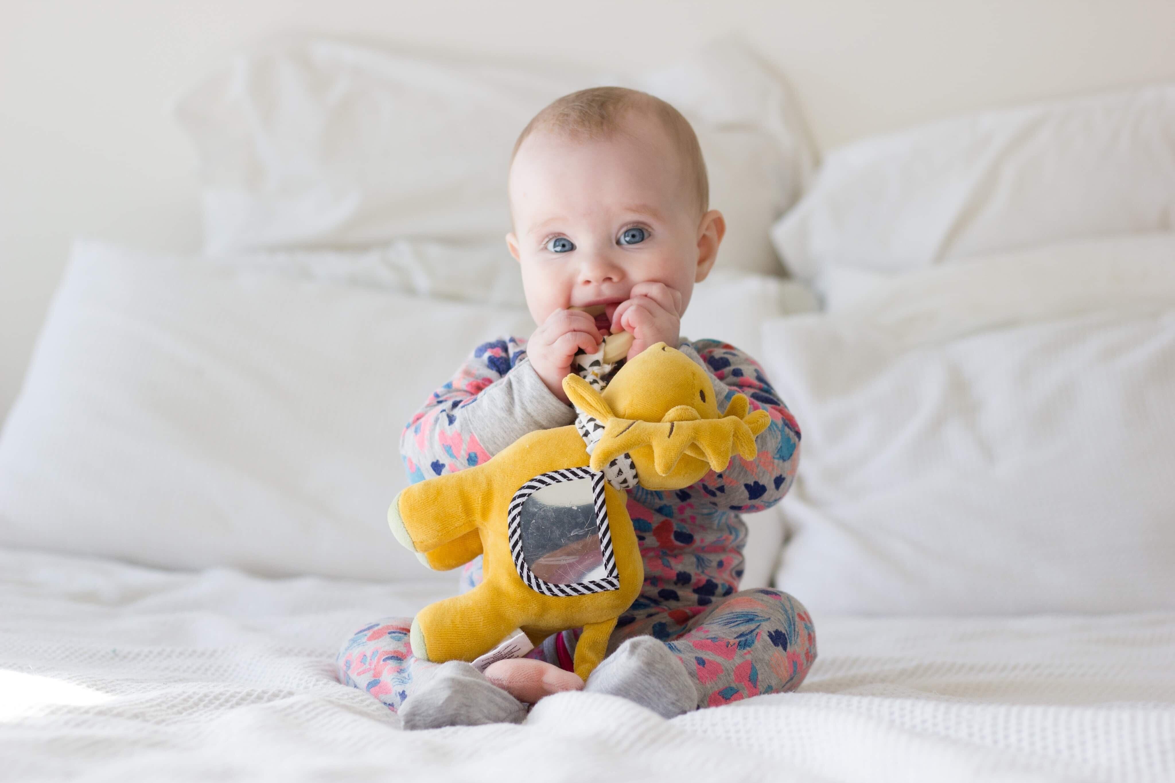 Lion Activity Toy with Natural Rubber Teether_97002