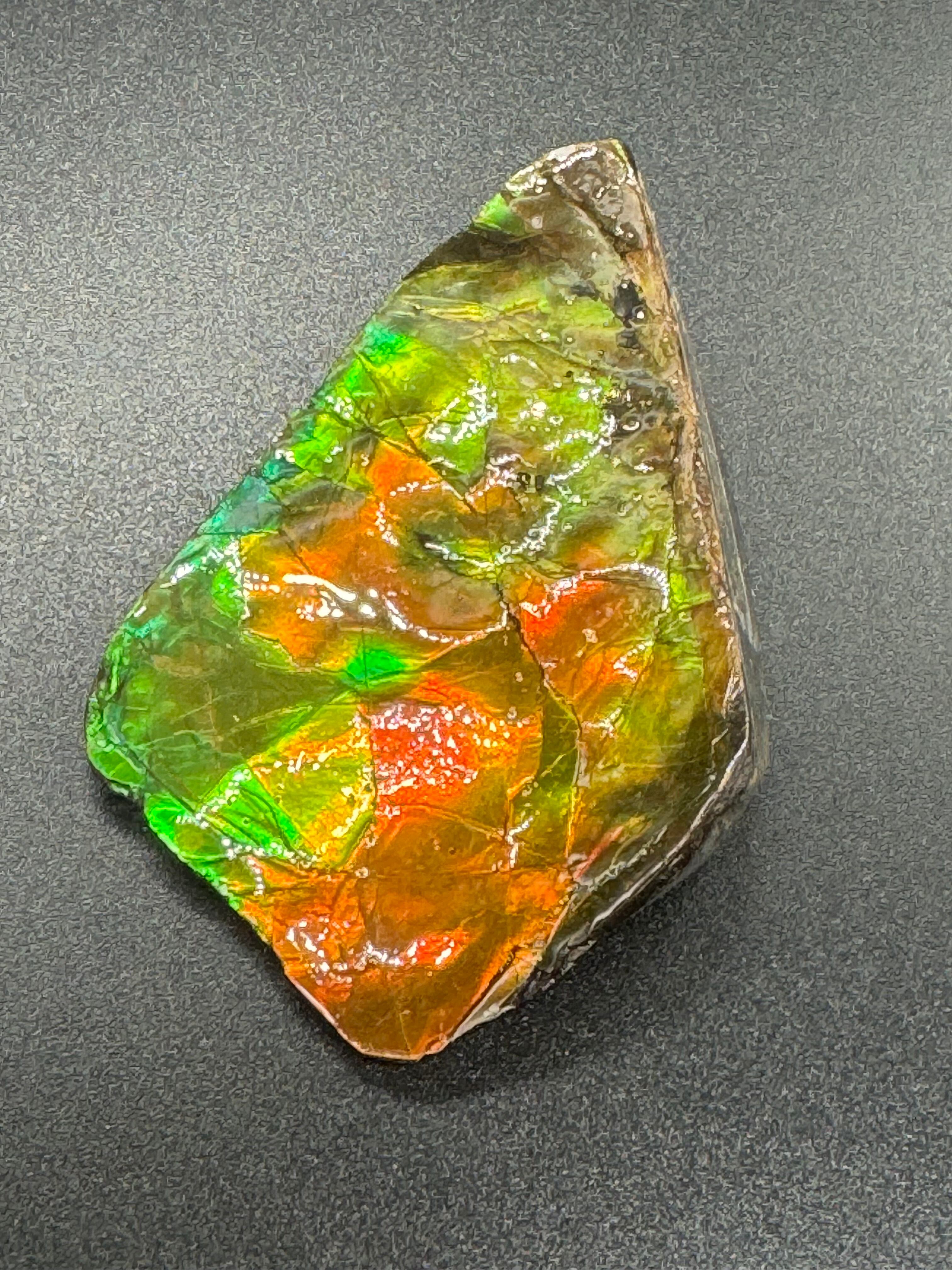 大変レアなアンモライト⭐️幸運エネルギーは最強✨最高級グレードNO.6