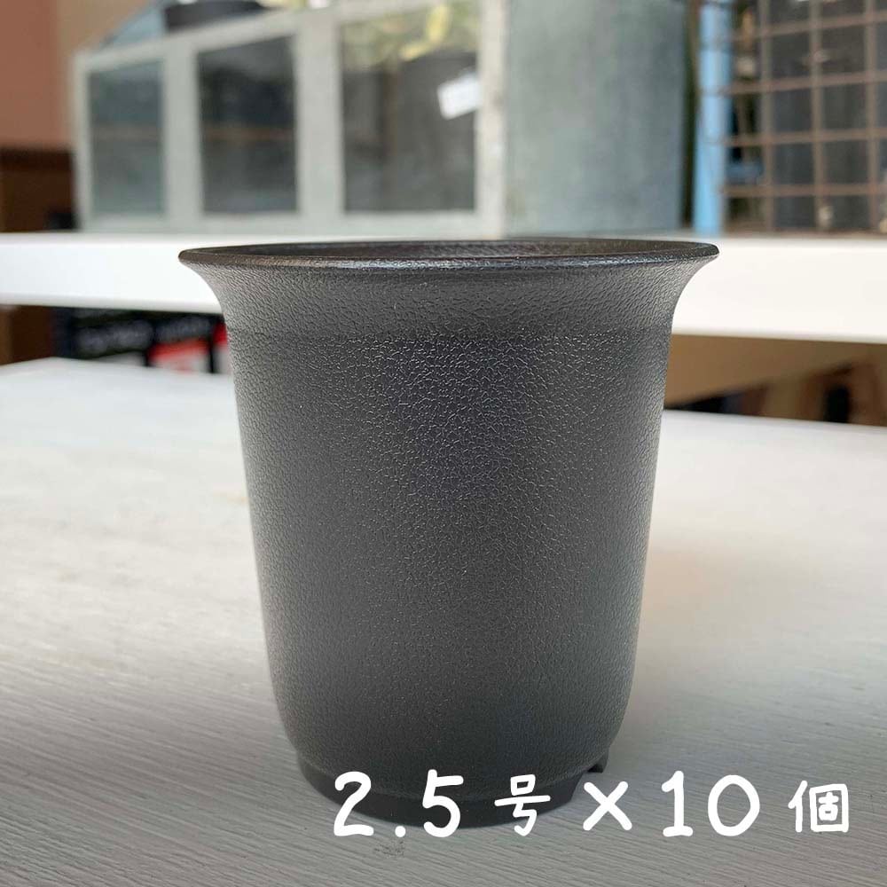 10個セット】プラスチック鉢 Bo 2.5号 (ブラック/黒) Botanique(ボタニーク)