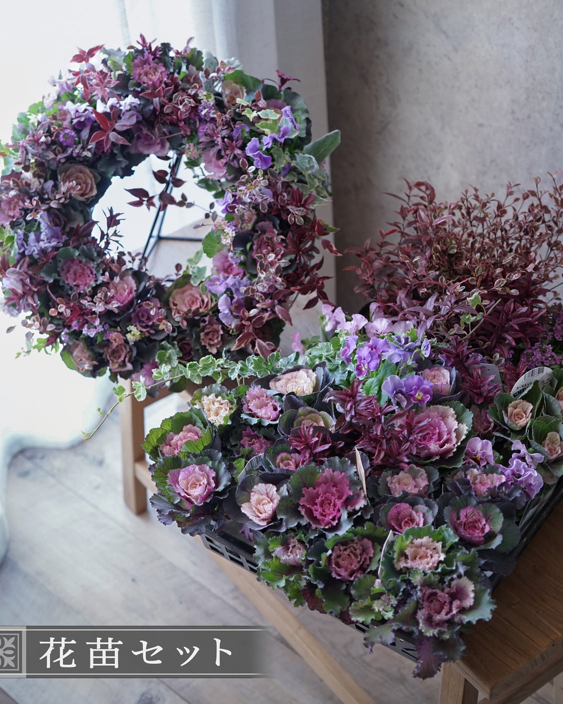 花苗セット（セット販売） | アトリエ ヴィネット（花苗・鉢・寄せ植え