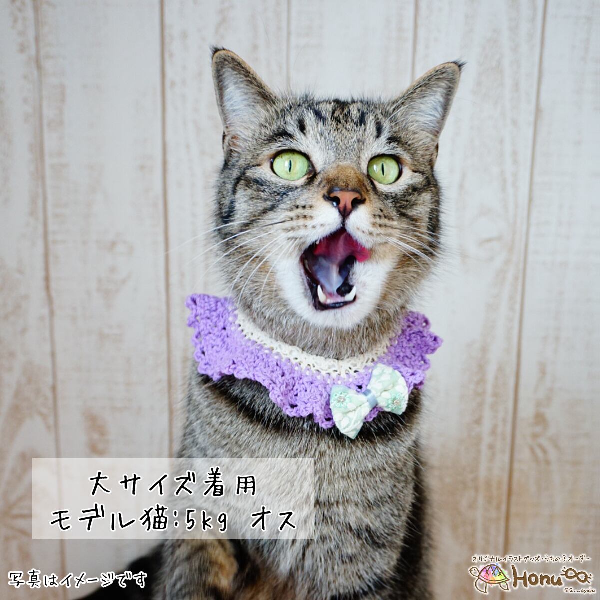 ねこねこ様専用ページ ねこねこ様専用 ねこねこ様専用 ねこねこ様 専用ページ ねこねこ日本
