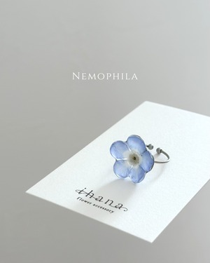 real flower ring「nemophila 」【1点限定】