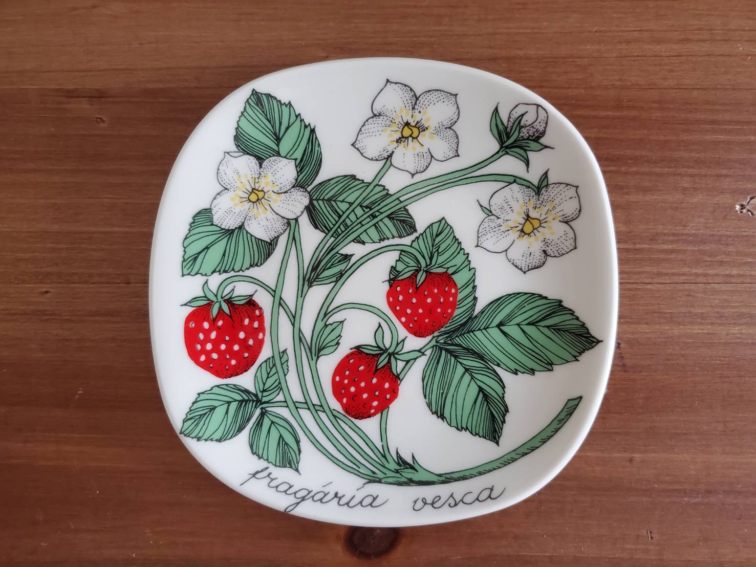 Arabia アラビア Botanica Fragaria Vesca ヘビイチゴ 野イチゴ ウォールプレート 01 Northblessing 北欧ヴィンテージ食器 雑貨
