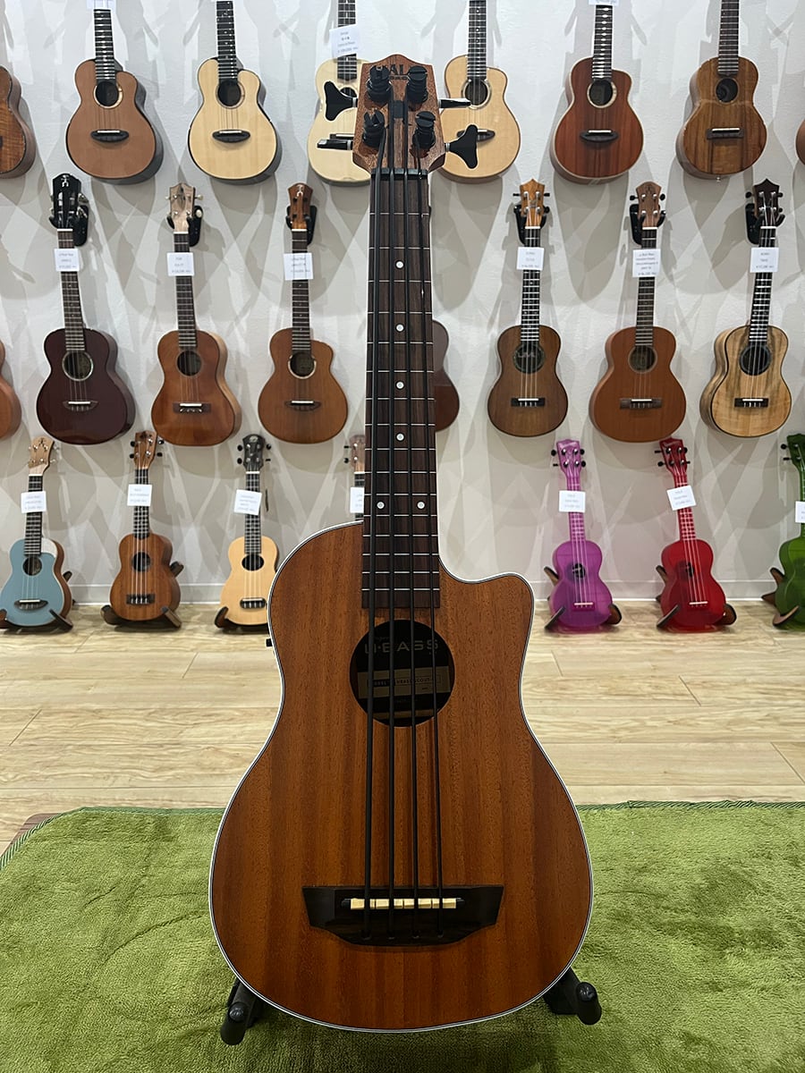 KALA UBASS-SCOUT FL（フレット無し） | ウクレレショップ サニーサイド