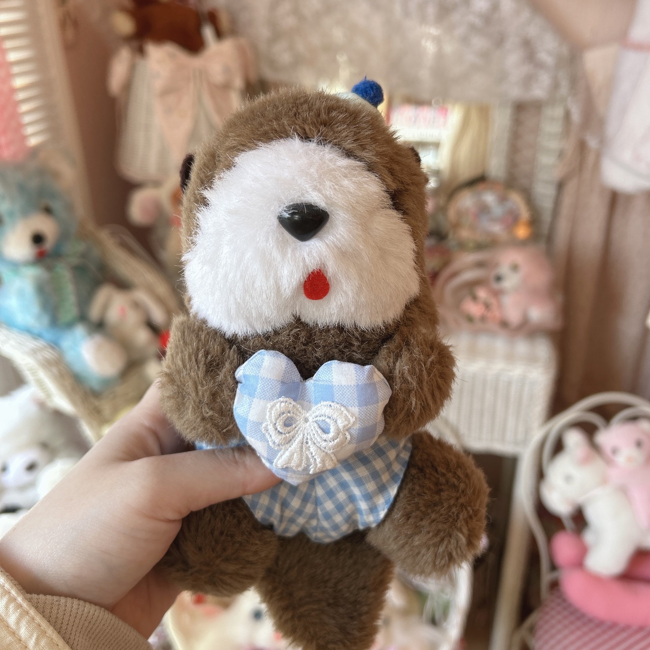 rakko 2setの画像02