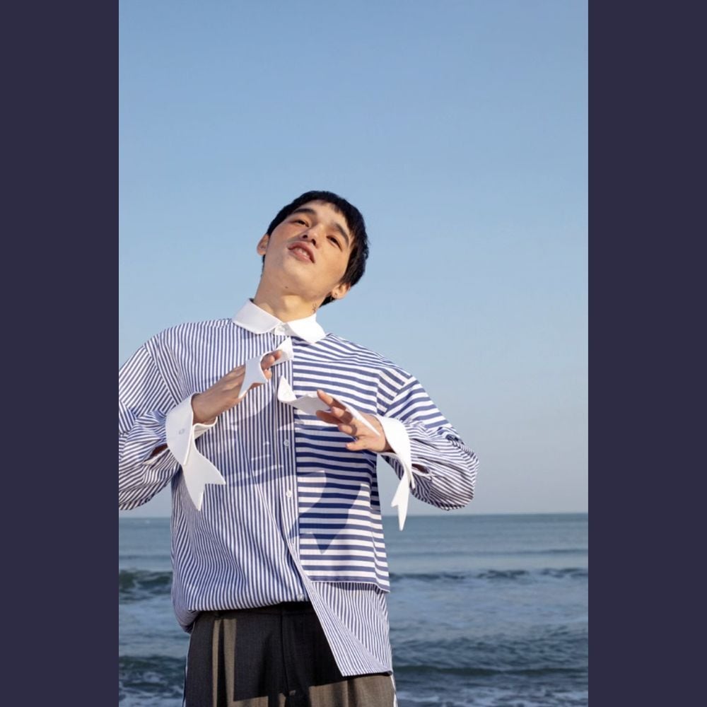 2匹のサメタイとサメ袖、ストライプとボーダーのMIX変形シャツ