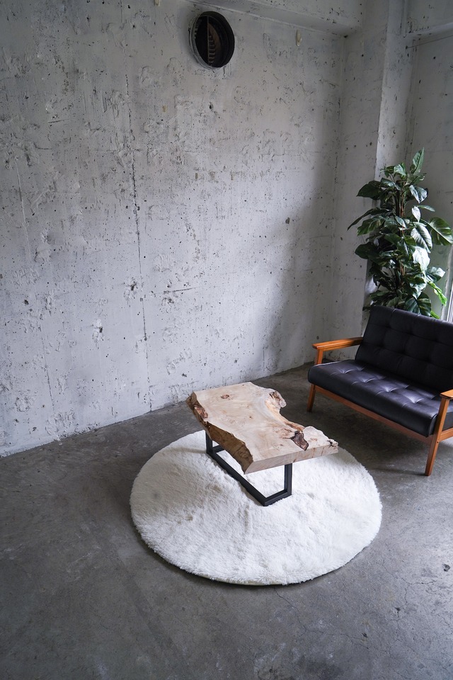 存在感のある巨大なイチョウの一枚板 ローテーブル